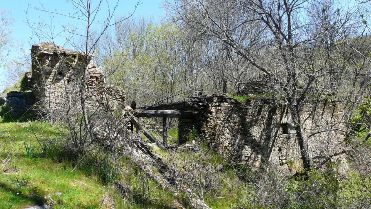 Willa El Huerto De Leon Pradena del Rincon Zewnętrze zdjęcie
