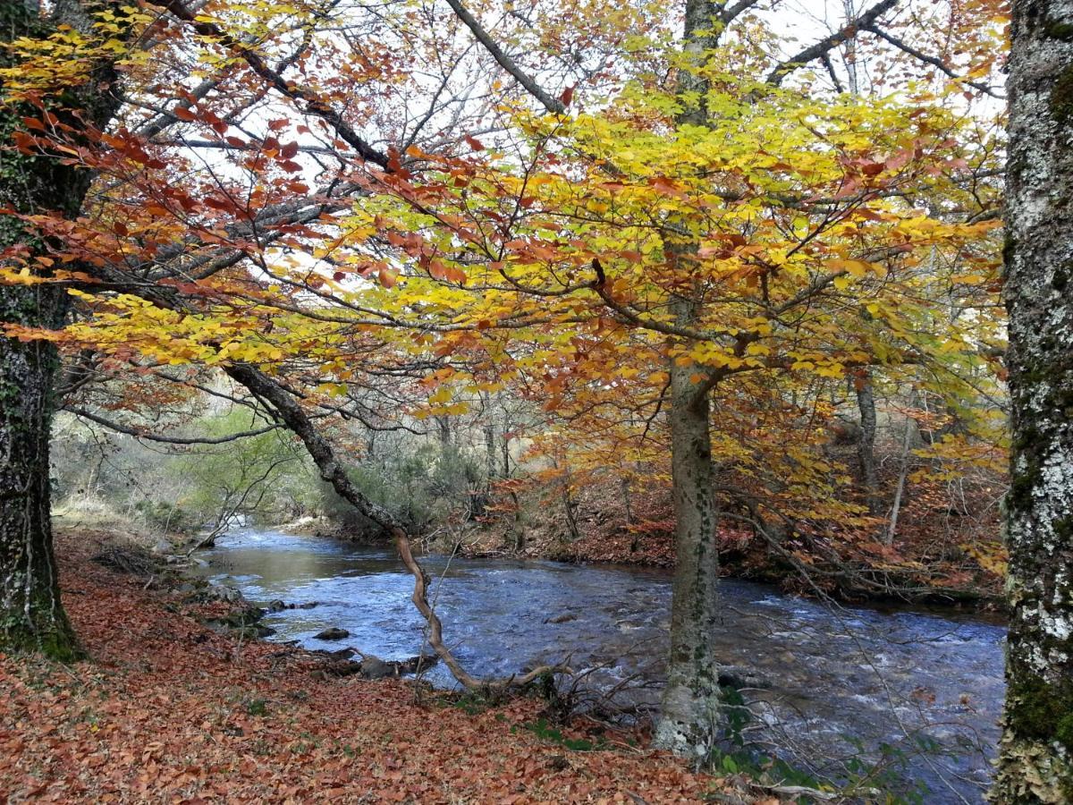 Willa El Huerto De Leon Pradena del Rincon Zewnętrze zdjęcie